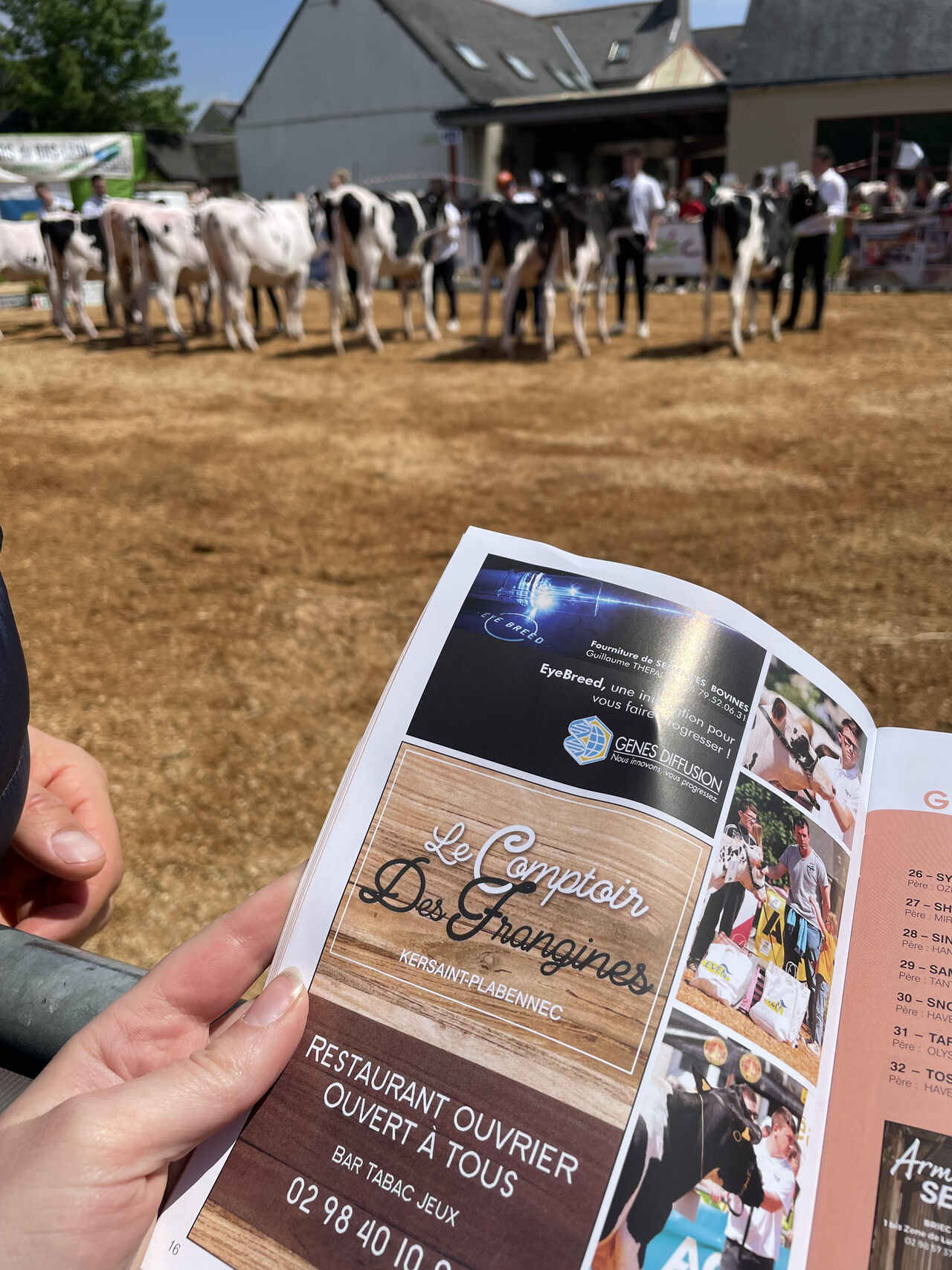 Encart Publicitaire dans le catalogue du forum de Ploudaniel