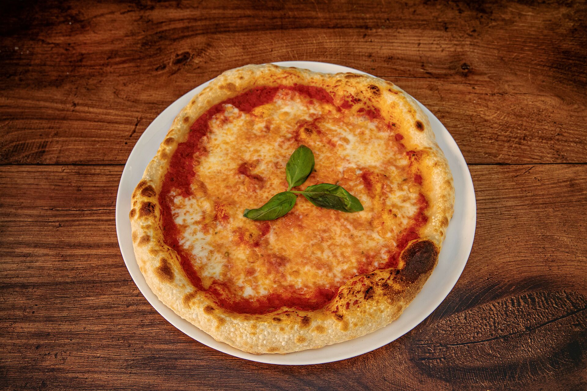Promo pizzas para llevar
