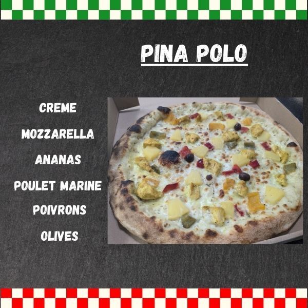 PINA POLO