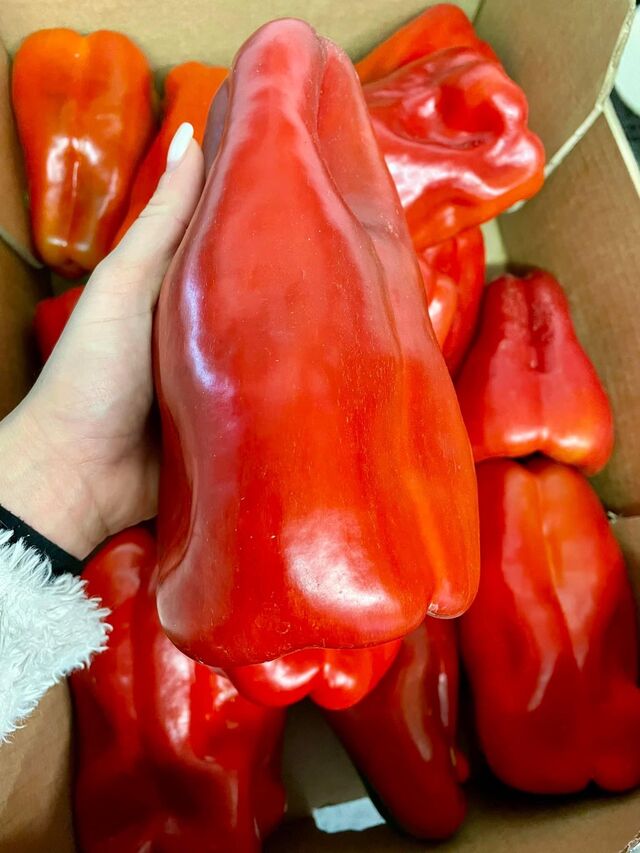 Avant préparation poivrons grillés ! 