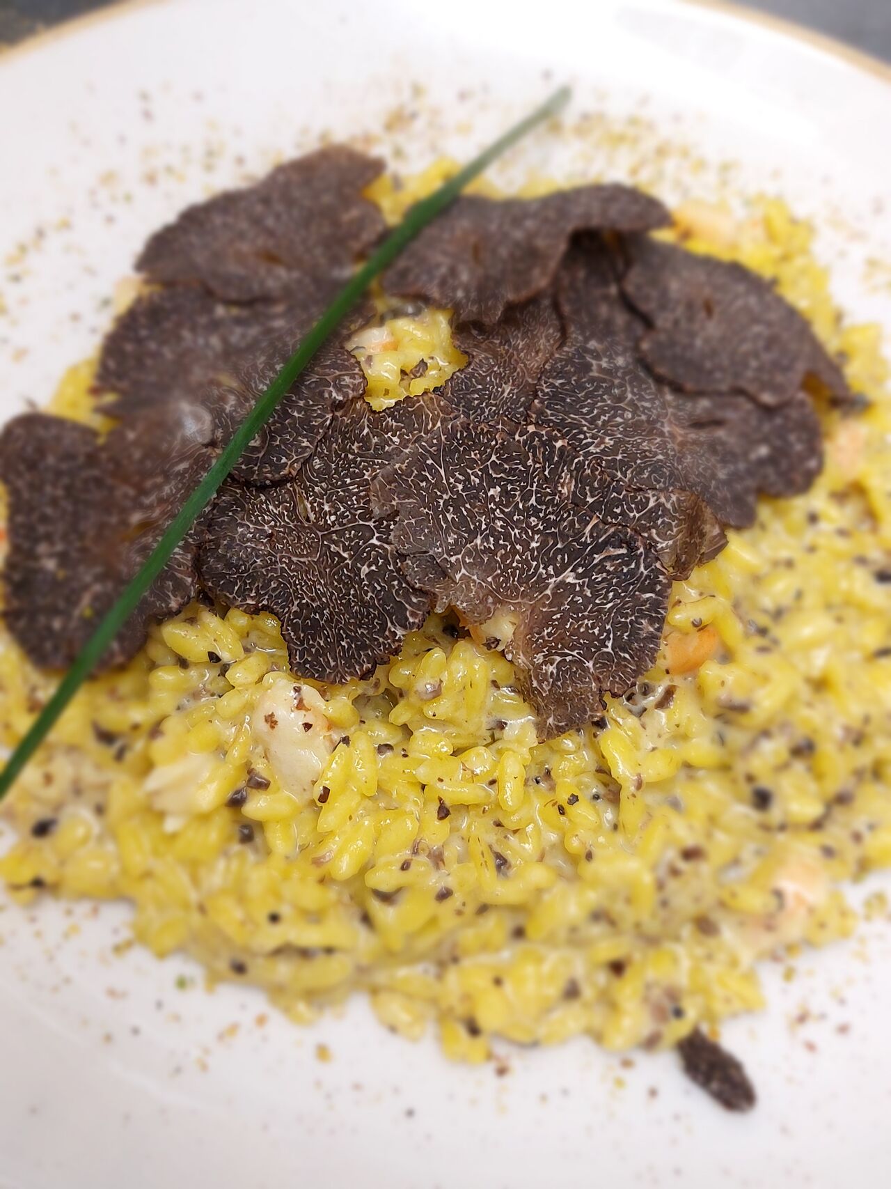 risotto a la creme de truffe