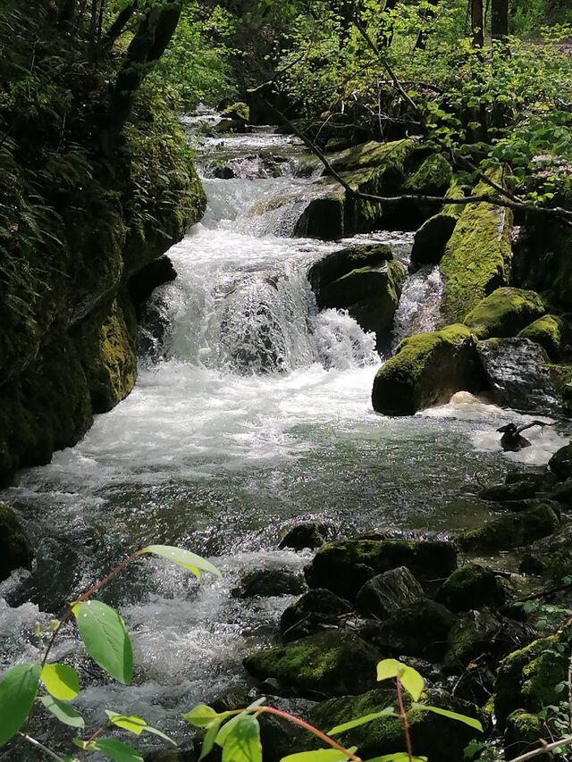 La rivière Furon, à proximité