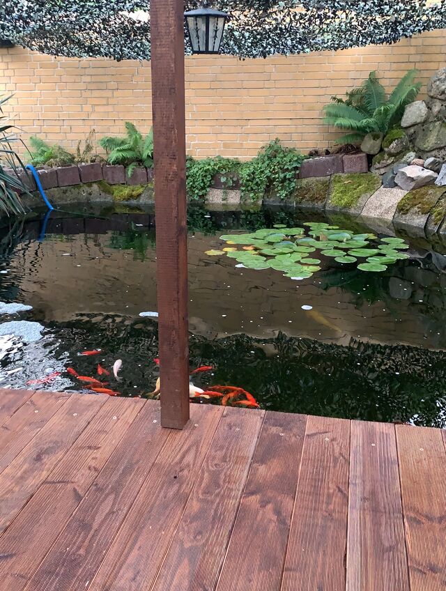 Gartenteich zum relaxen