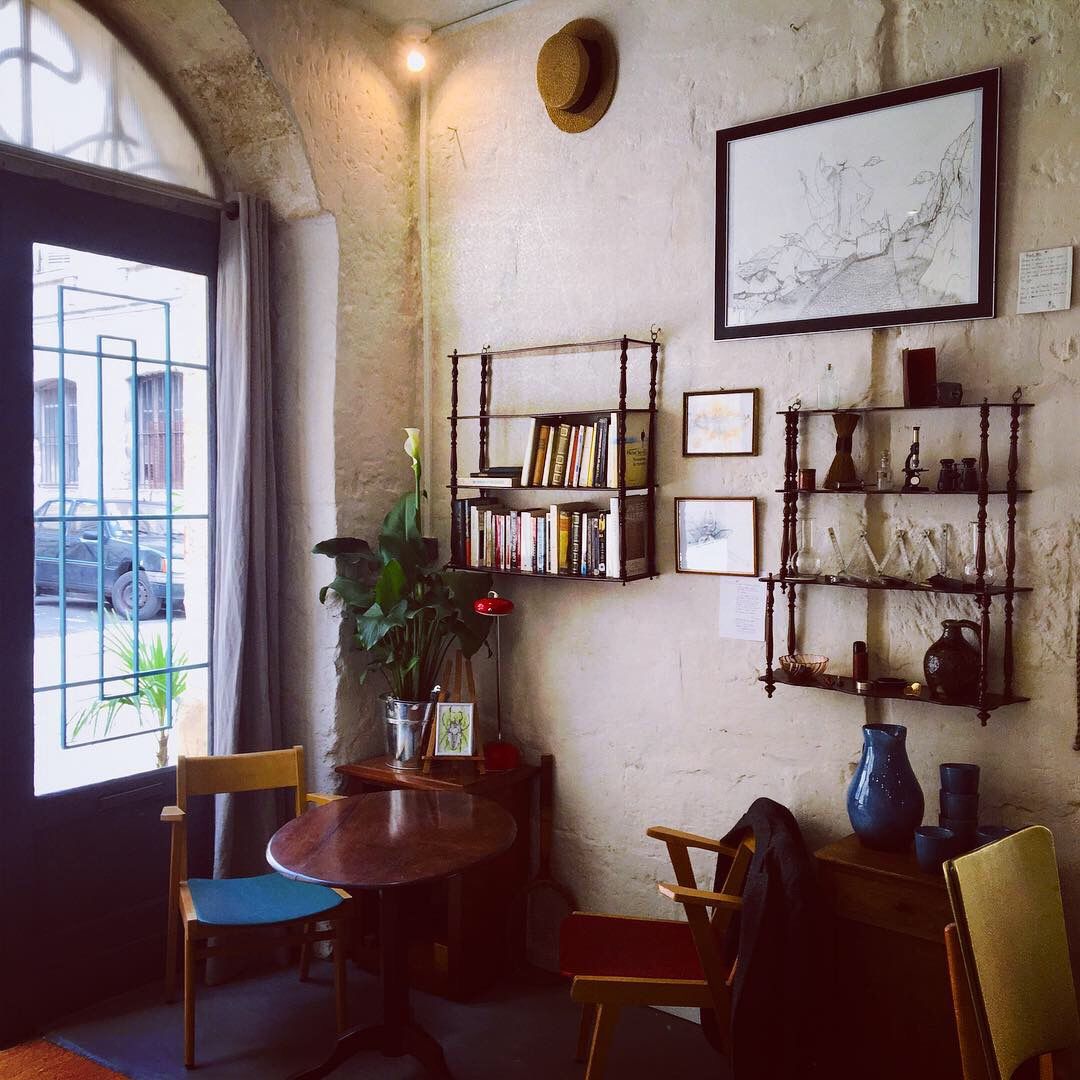 Coin librairie - expo permanante - cabinet de curiosité