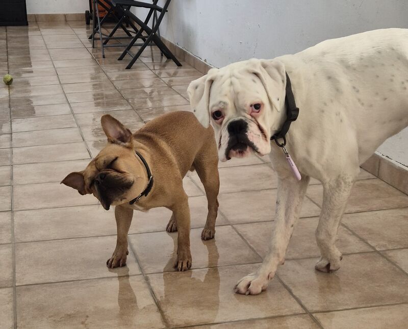 Yuki y Rocco 💙🤗💙