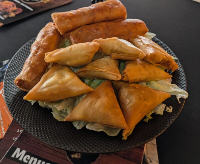 samoussas ou bricks au poulet