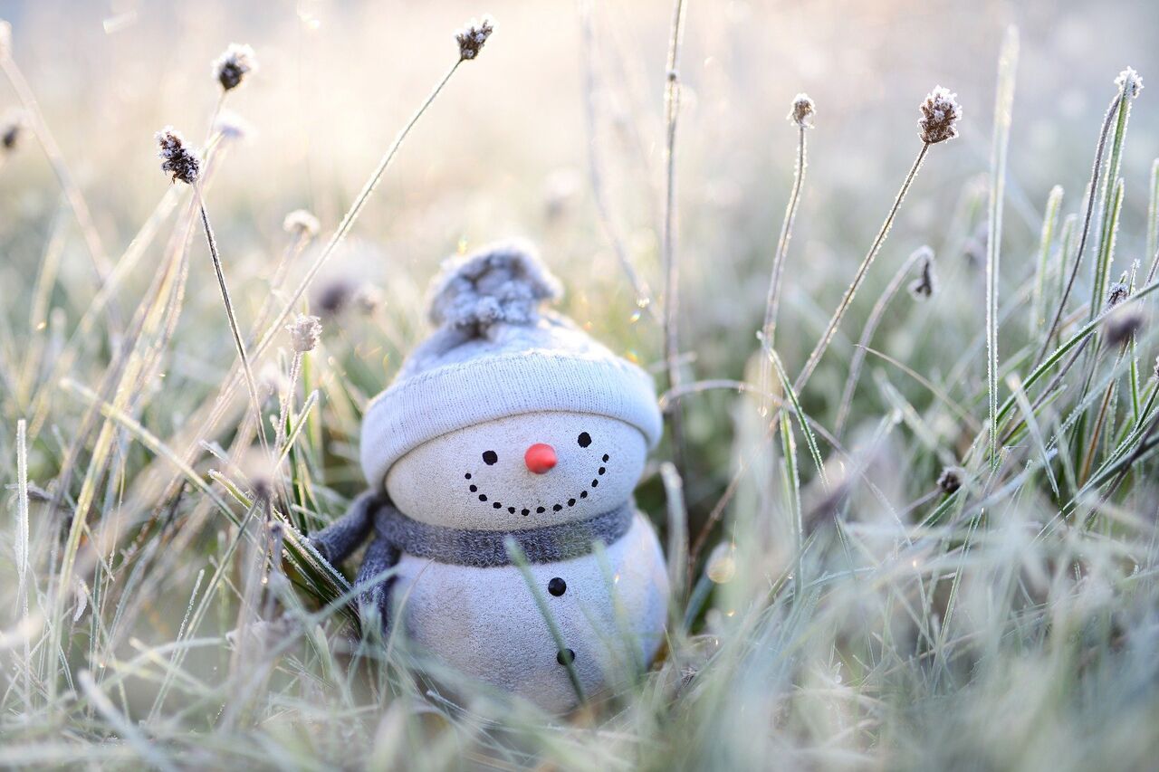 November - Dezember