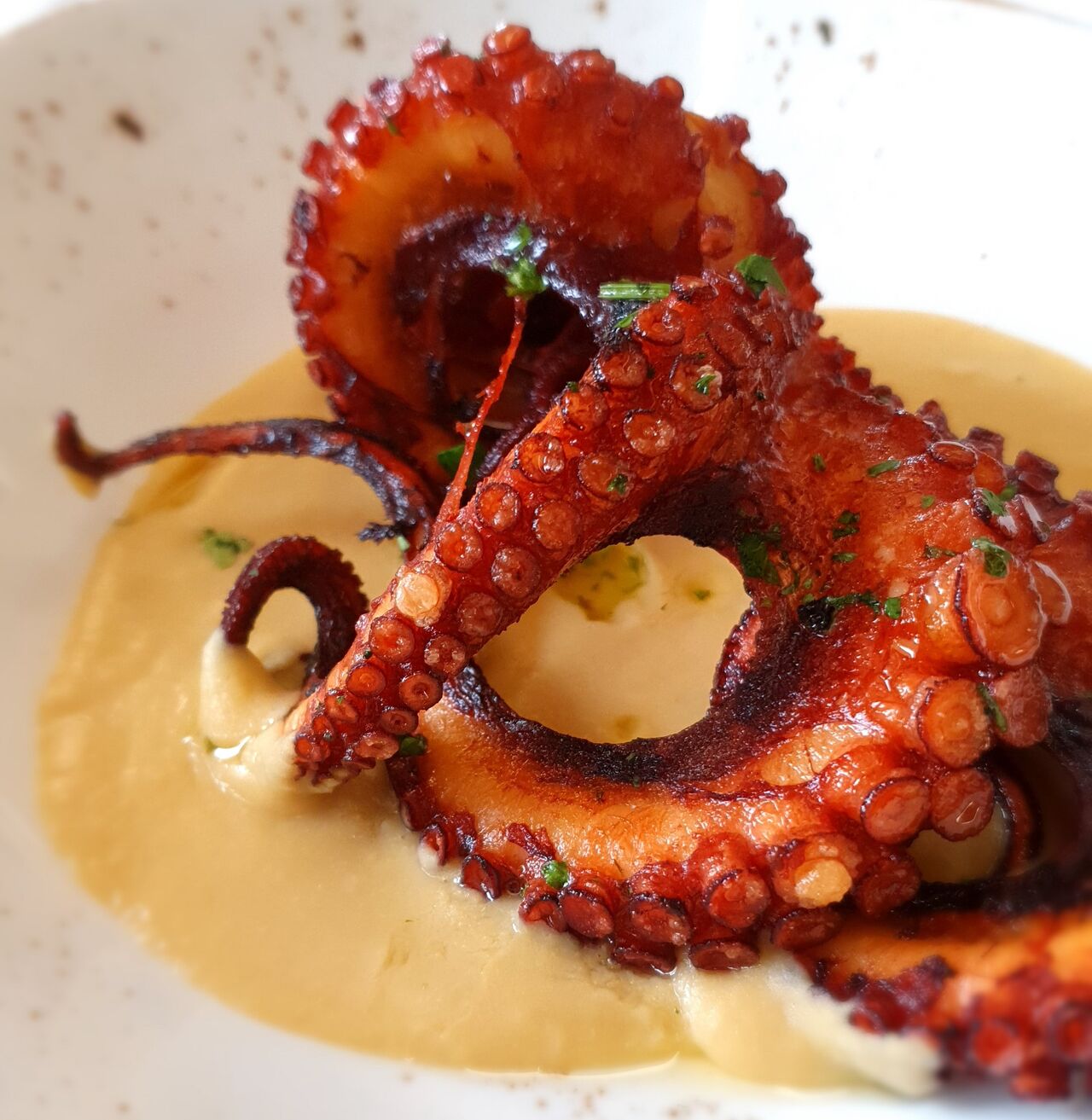 Il polpo rosticciato con la crema di ceci