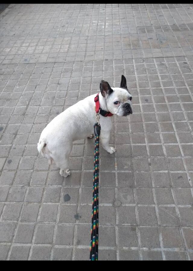 Tarifa una Chica Mona😊