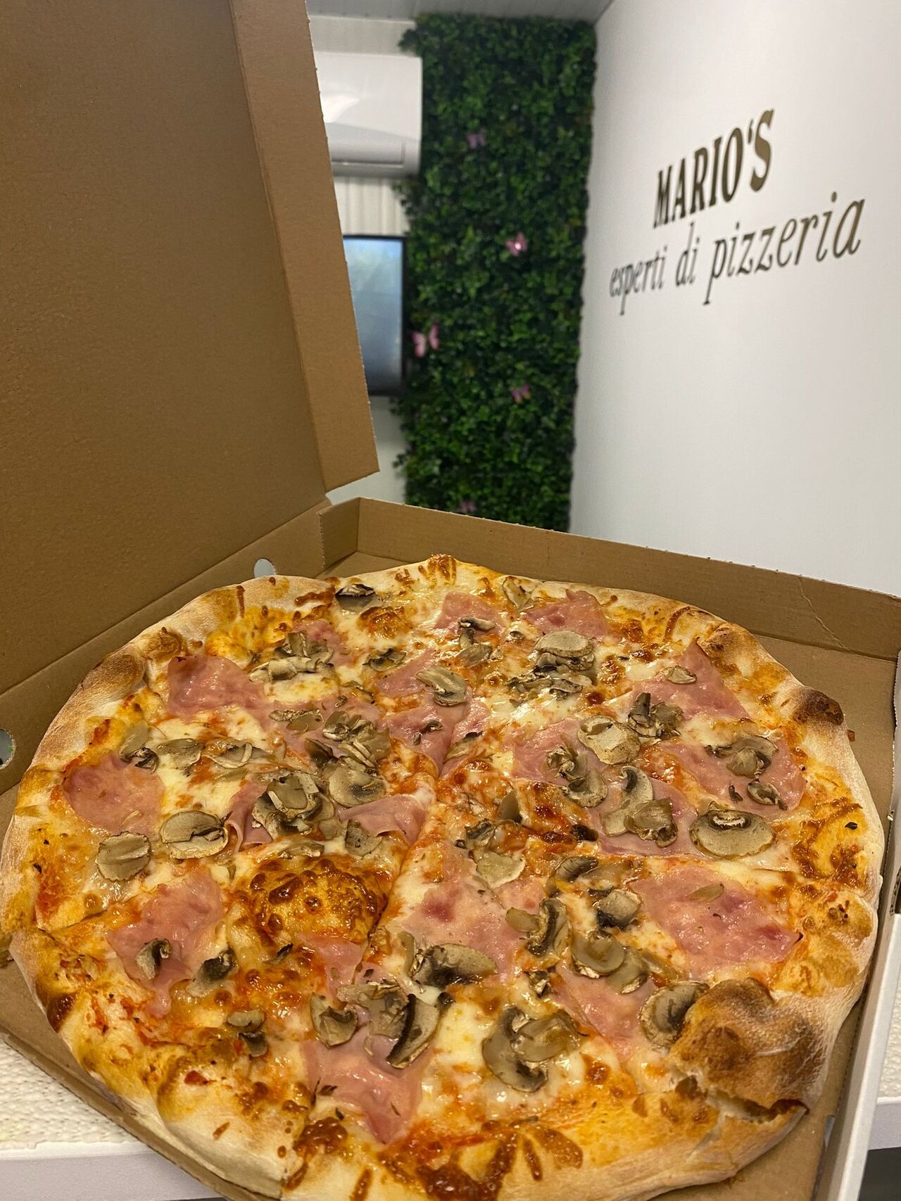 Pizza Prosciutto Funghi