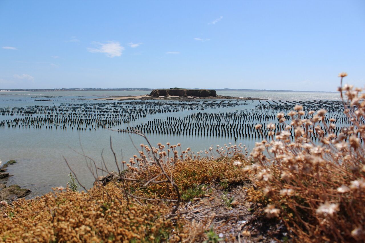 La Pointe du Bile pendant la marée.