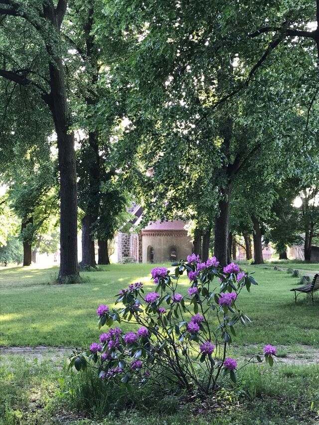 Lindenallee zur ehemaligen Patronatskirche - kirchliche Trauungen möglich -
