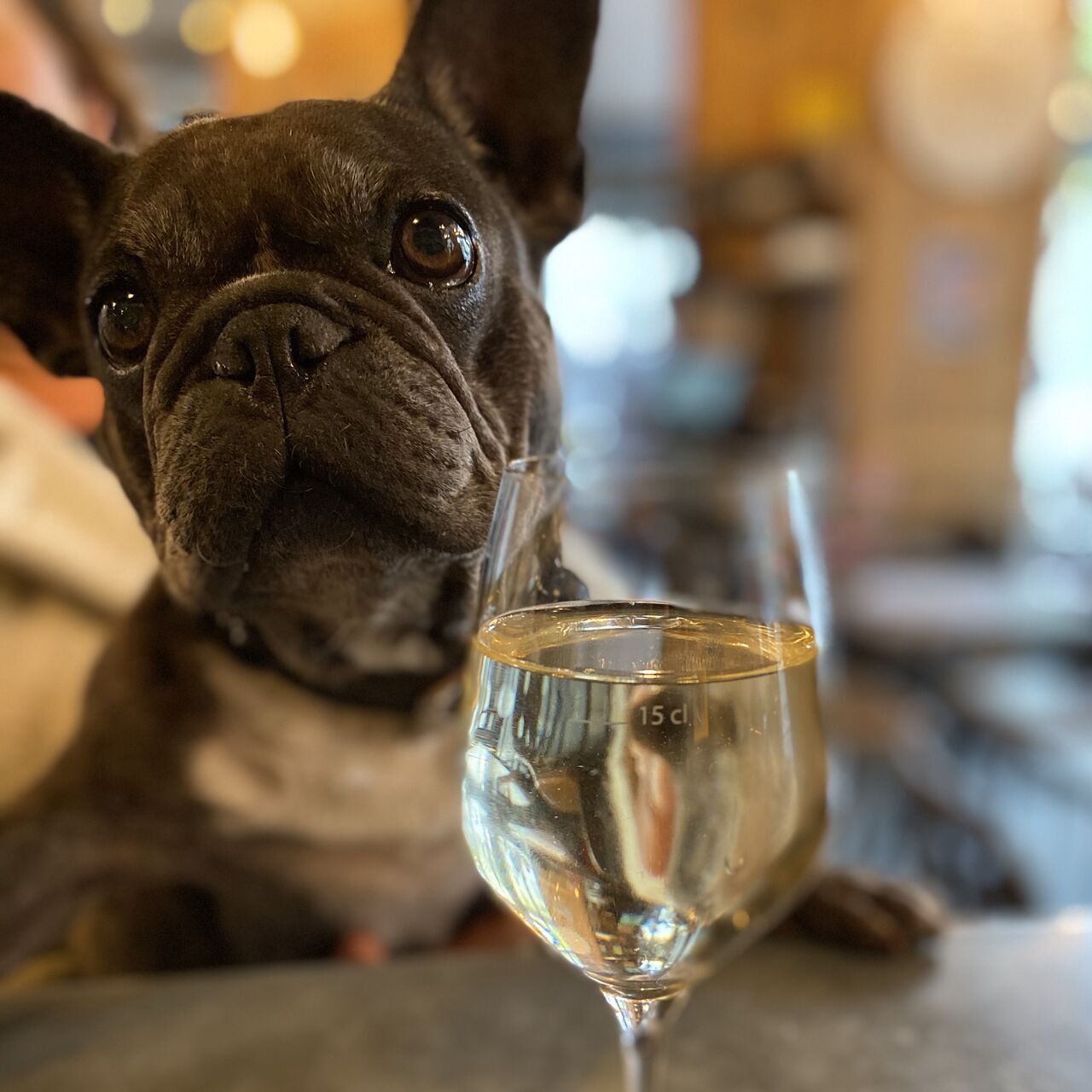 Venez comme vous êtes ! 