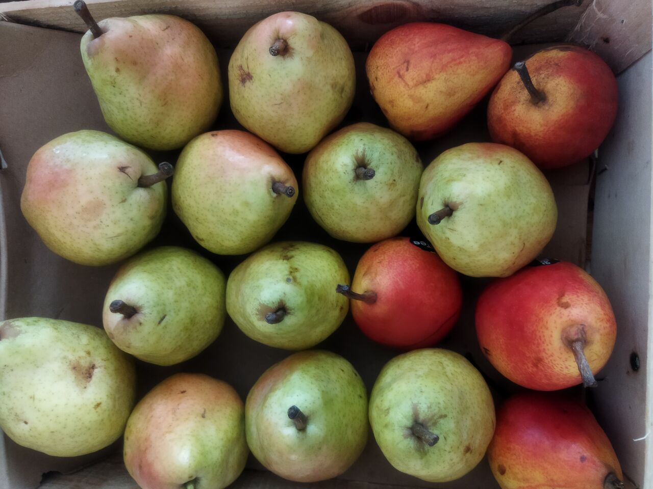 Poire Williams ou guyot 3.80€ kg