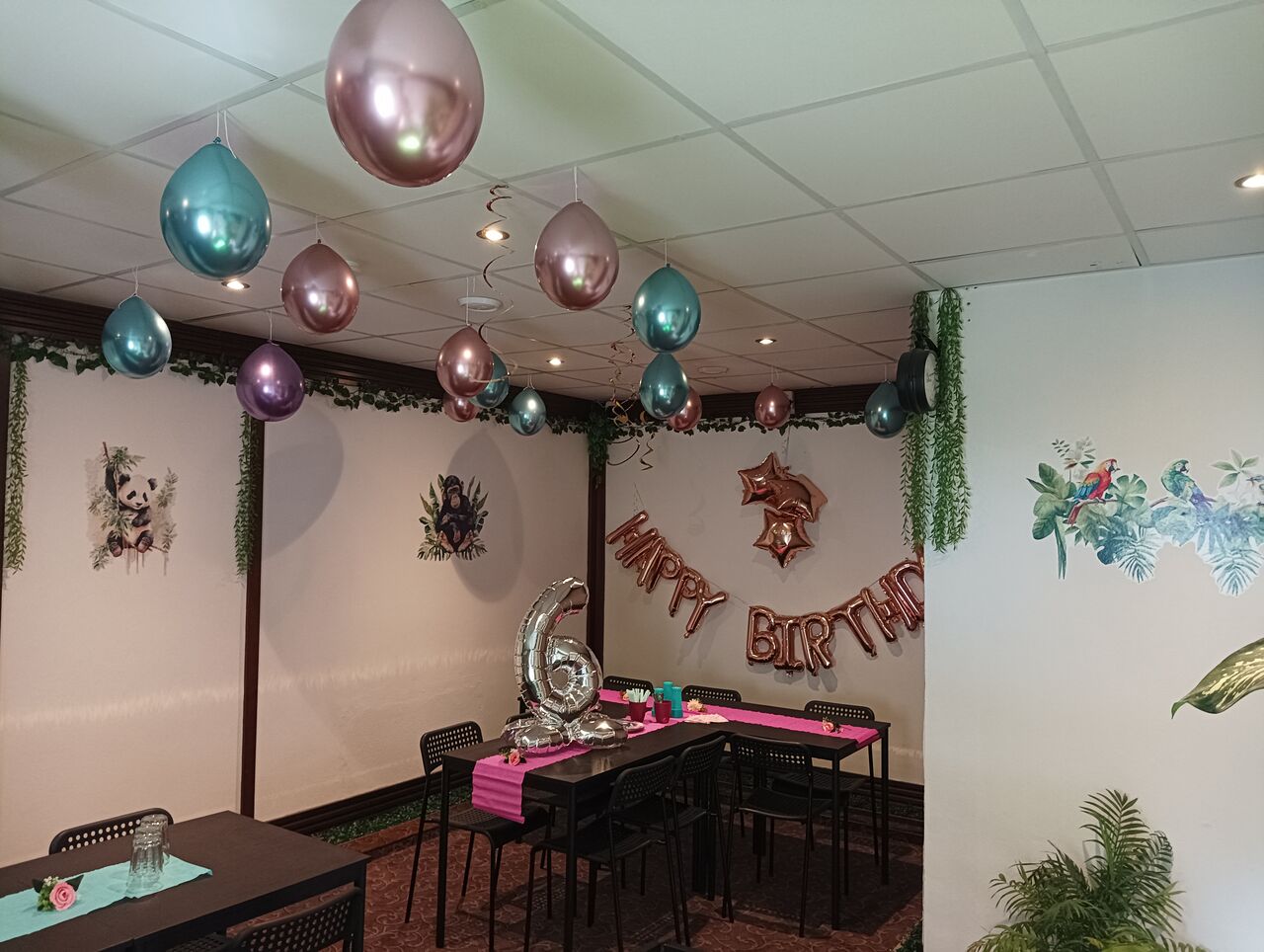 Oslava k 6. narozeninám pro dívku