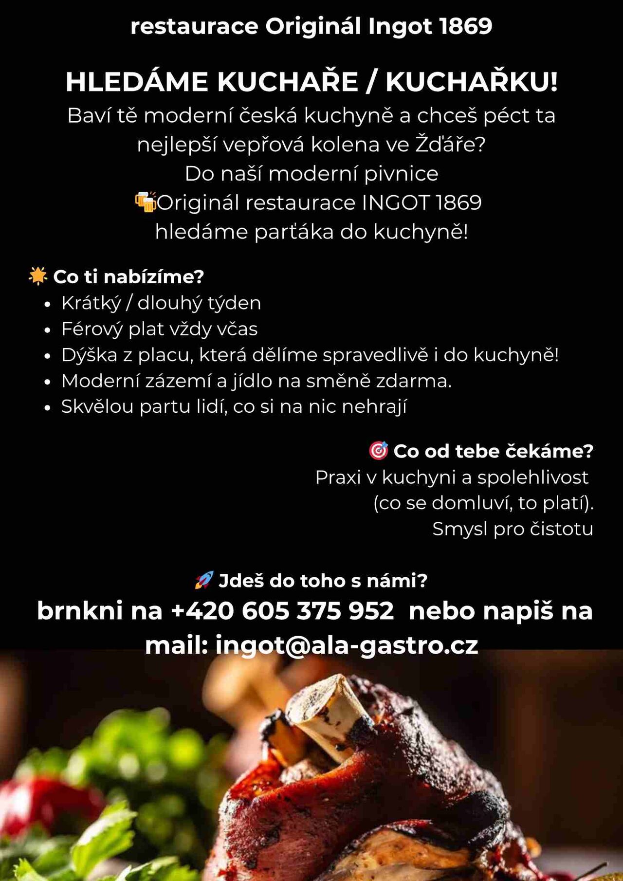HLEDÁME KUCHAŘE / KUCHAŘKU