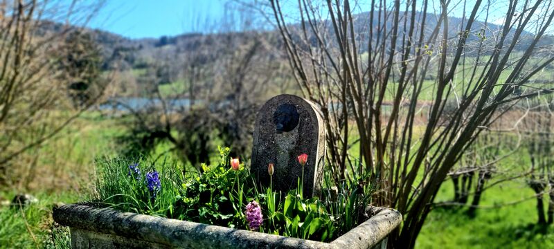 Petites décos florales