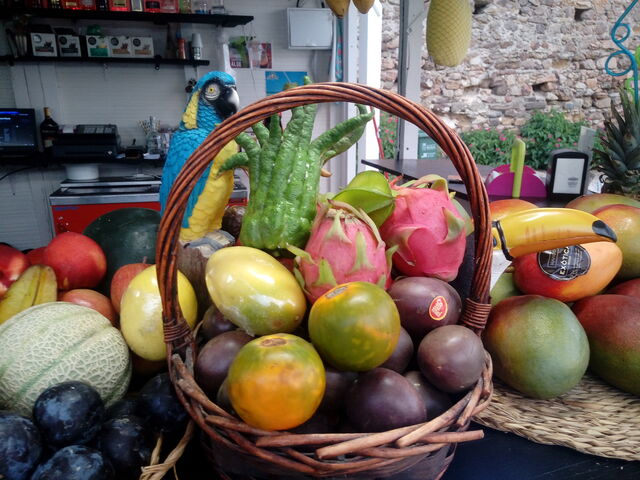 Exóticos del Mundo!