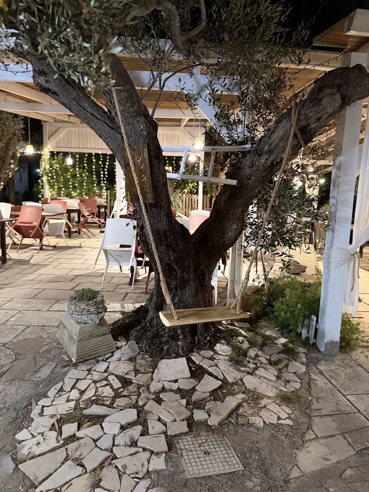 Altalena tra gli ulivi