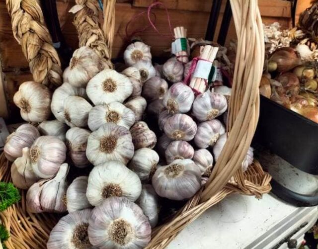 Ail - Disponible selon la saison