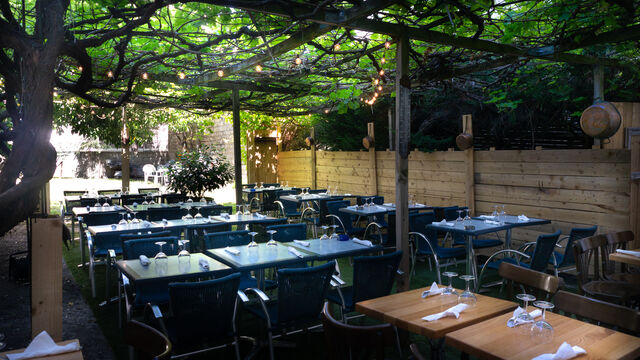 Jardin ombragé sous les vignes