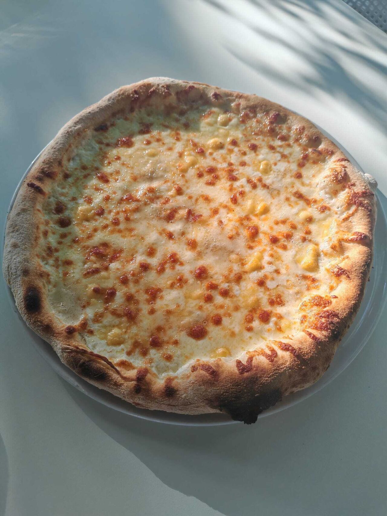 Pizza pe cuptor de lemne!