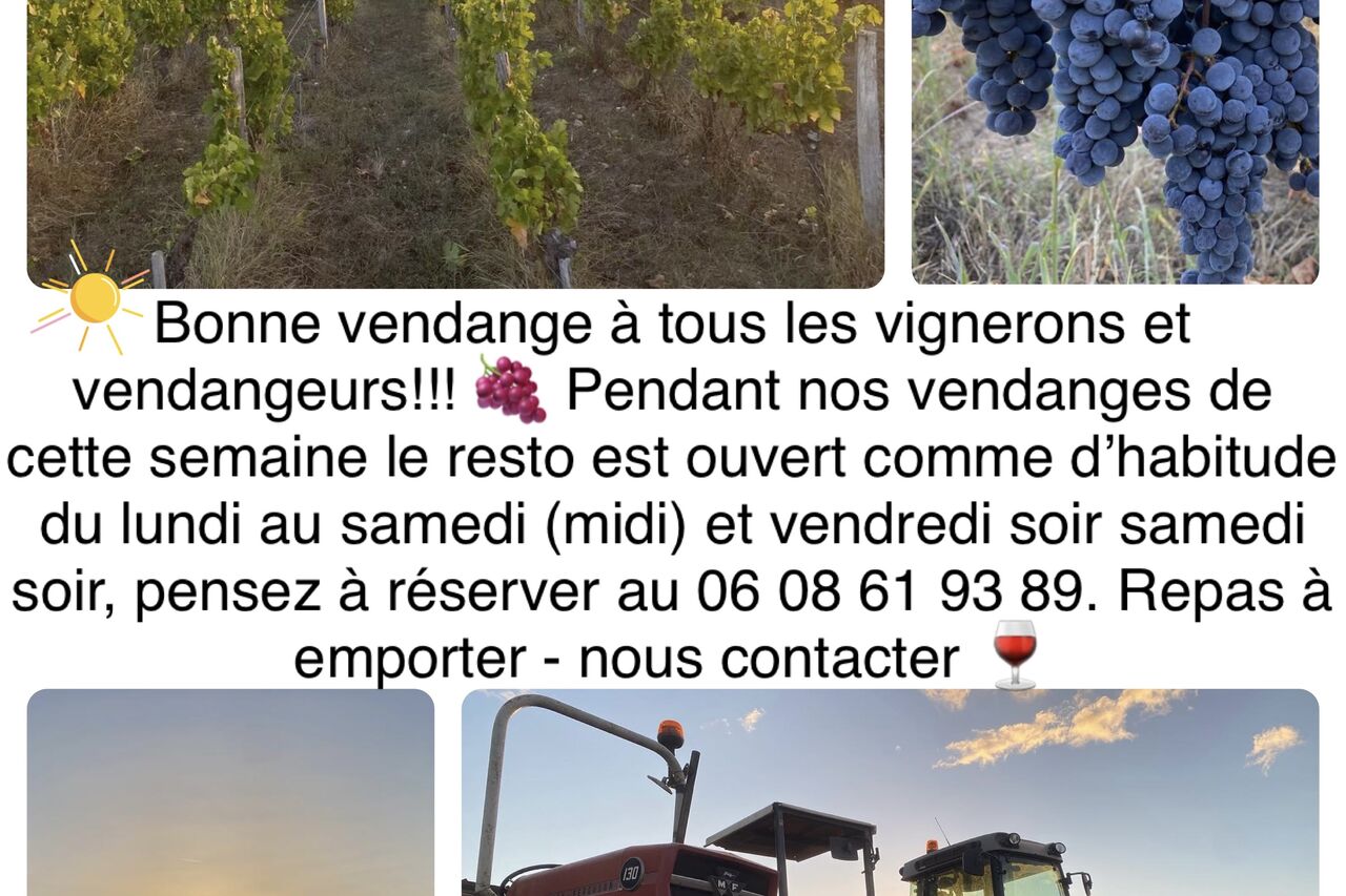 VENDANGES 2022