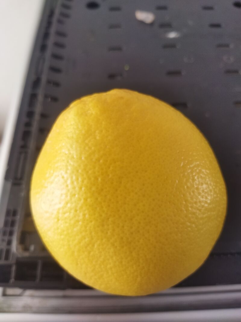 Pamplemousse jaune 0.90€ pièce 