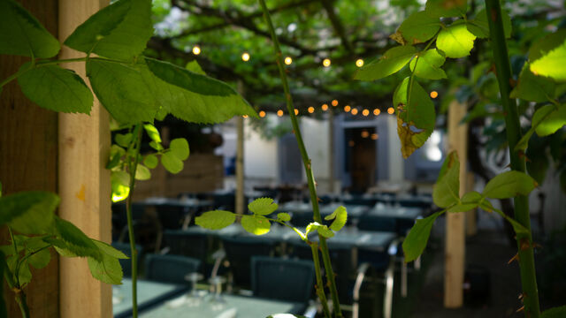 Jardin ombragé sous les vignes