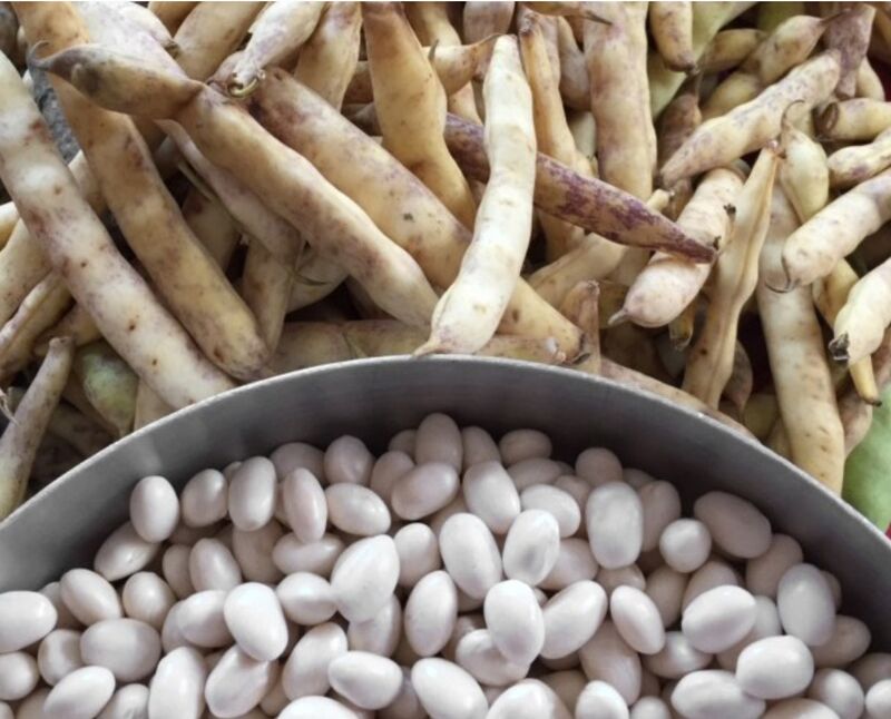 Haricots coco - 450gr - 2,00€