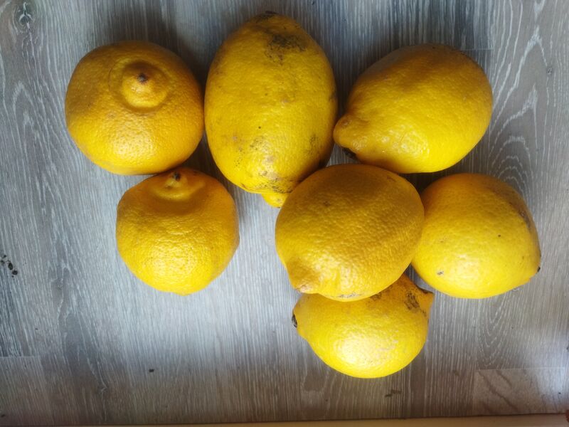 Citron jaune 2.10€ kg