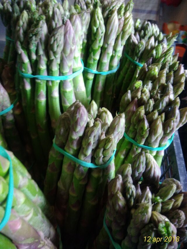 Asparagi
