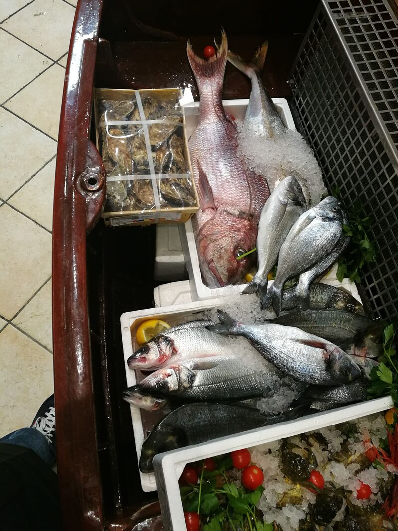 *Astice *Rombo *Orata *Branzini * Gambero Rosso 