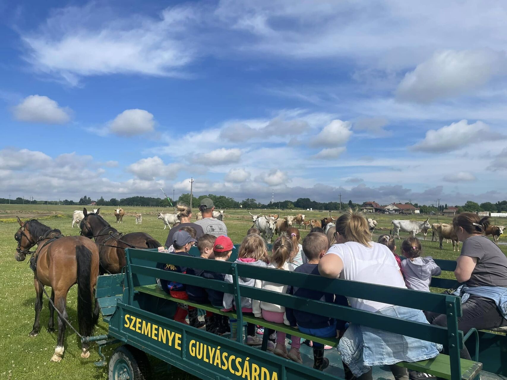 Táboroztatást is vállalunk!