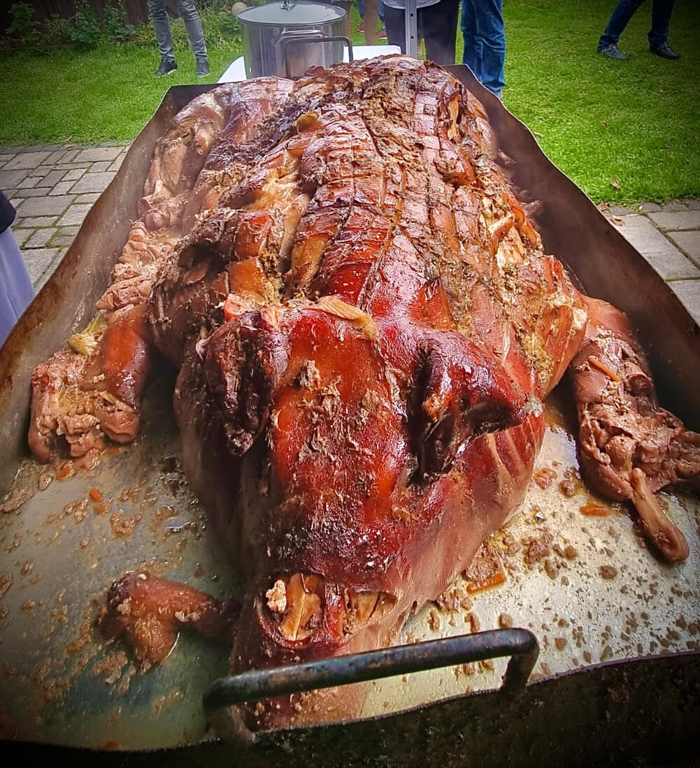 Backschwein auf Anfrage