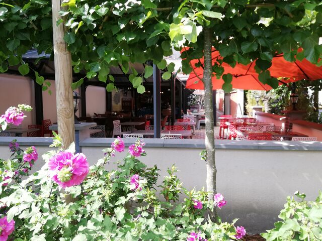 TERRASSE vue du JARDIN