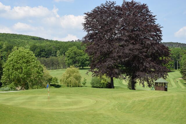 Blick von unserer Terrasse