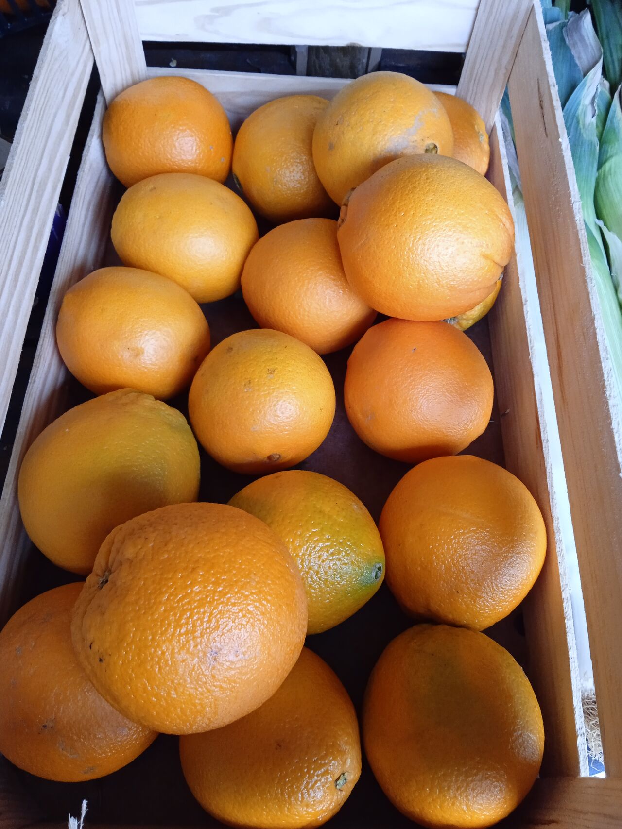 Orange du Portugal