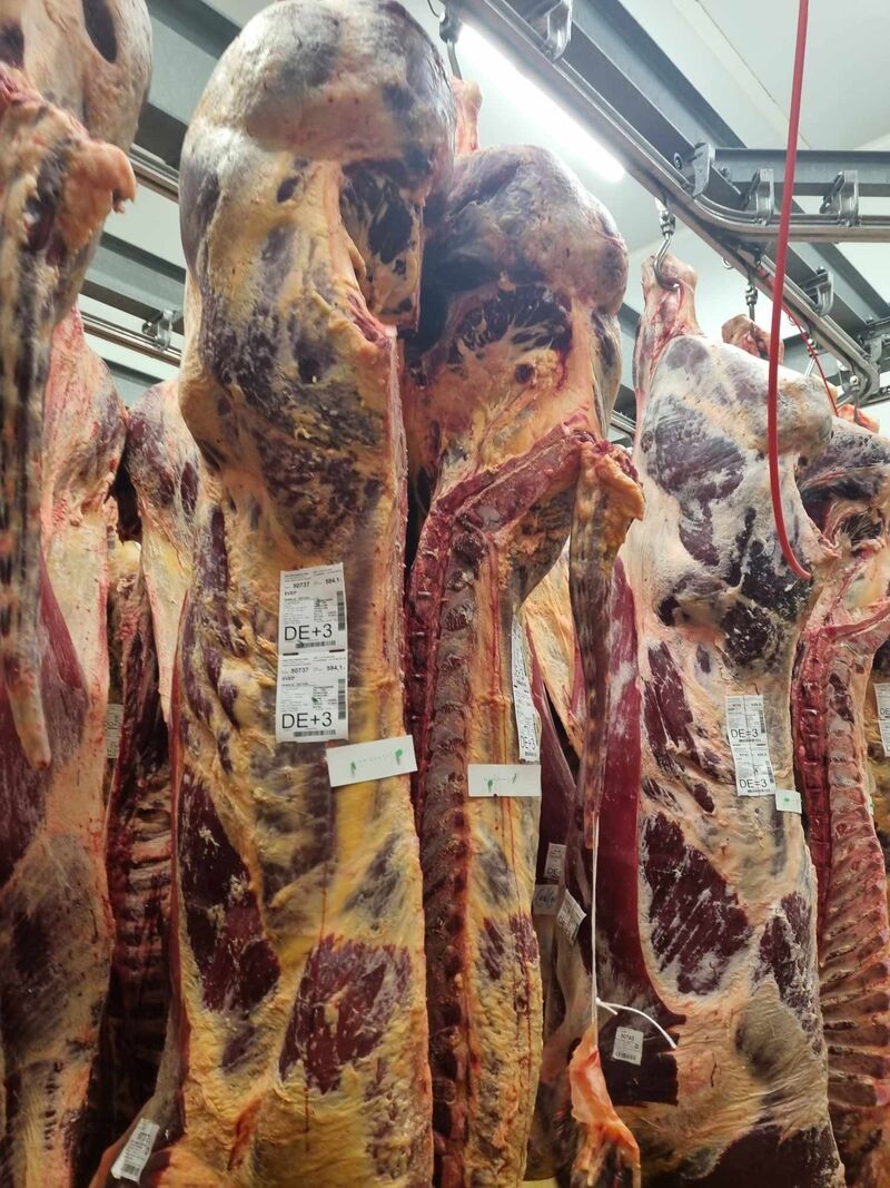 Carcasse parthenaise