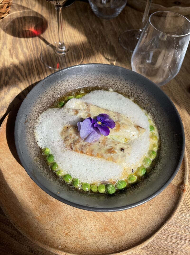 Bar grillé, risotto morilles, petit pois