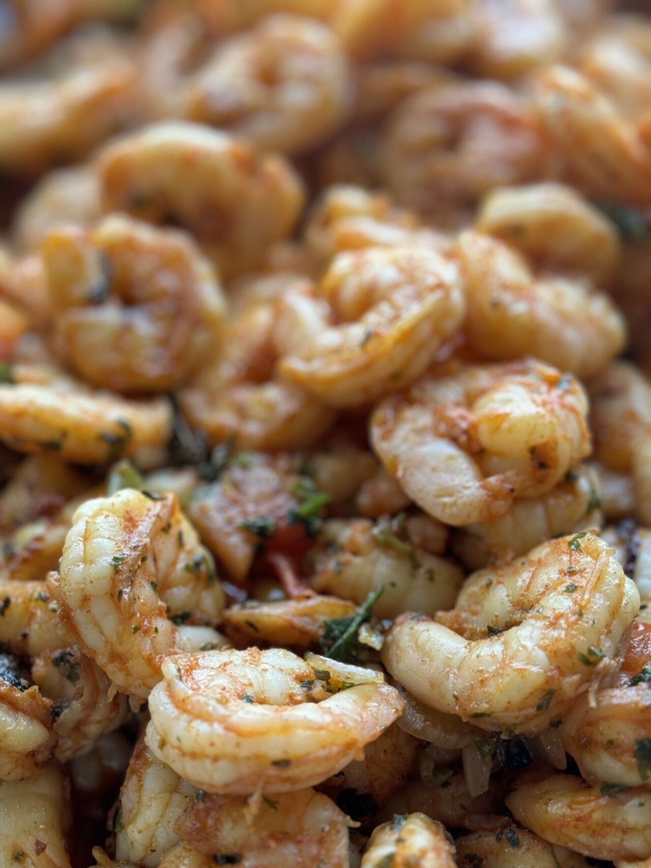 Scampi- Satt 21.02.2026