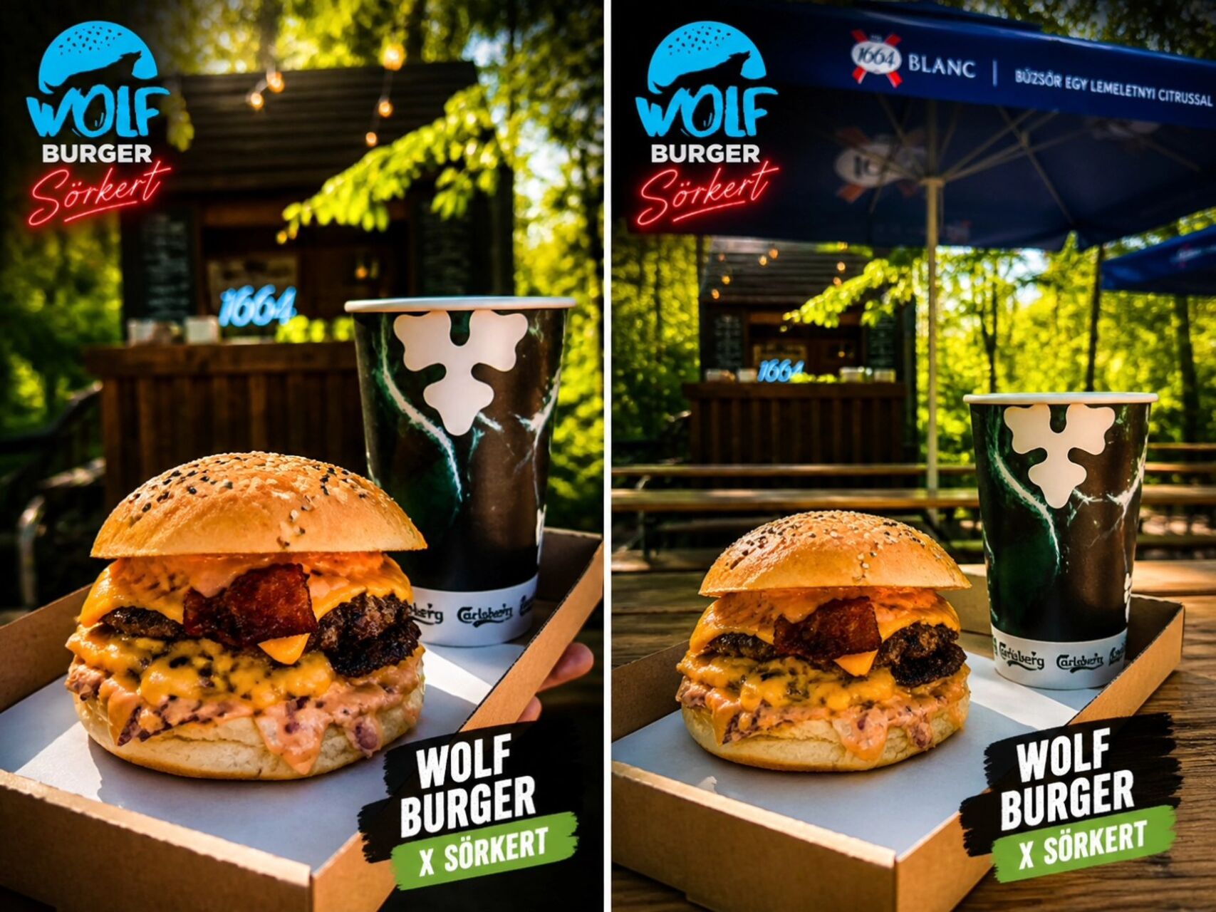 Wolf Burger Sörkert