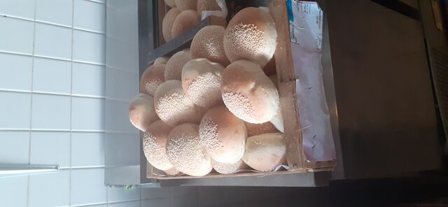 Pain burger de boulangerie 
