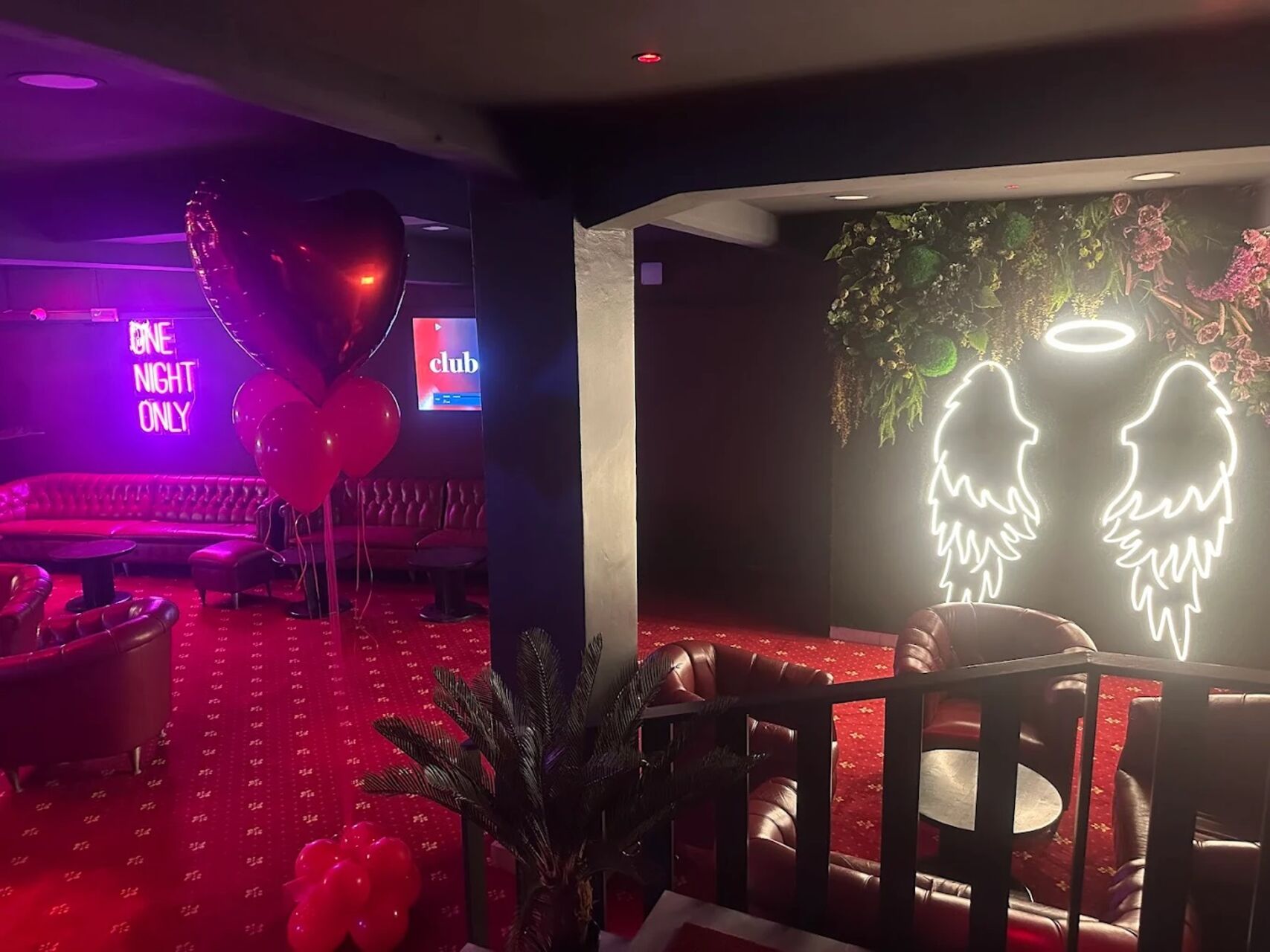 💎 Ambiente Elegante & Atmosfera Unica