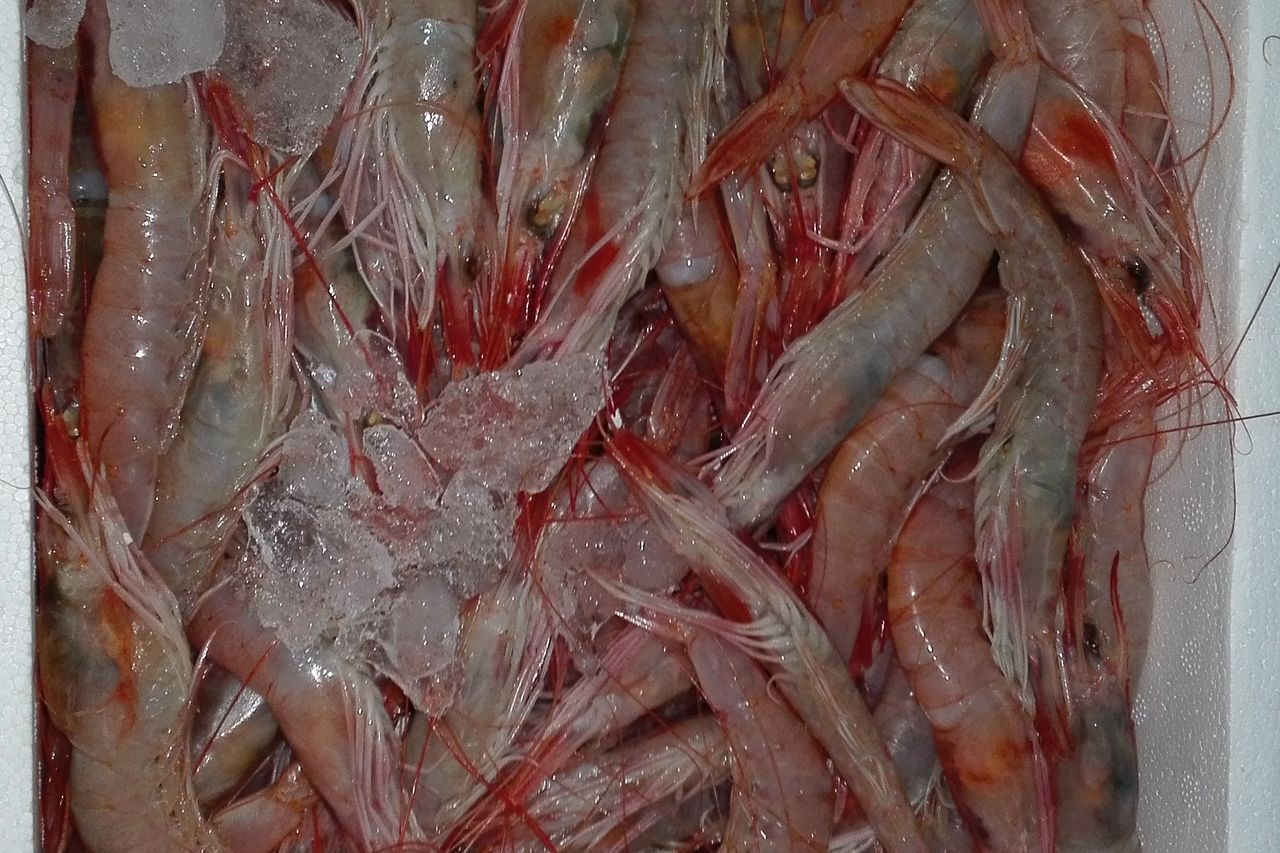 Productos fuera de carta