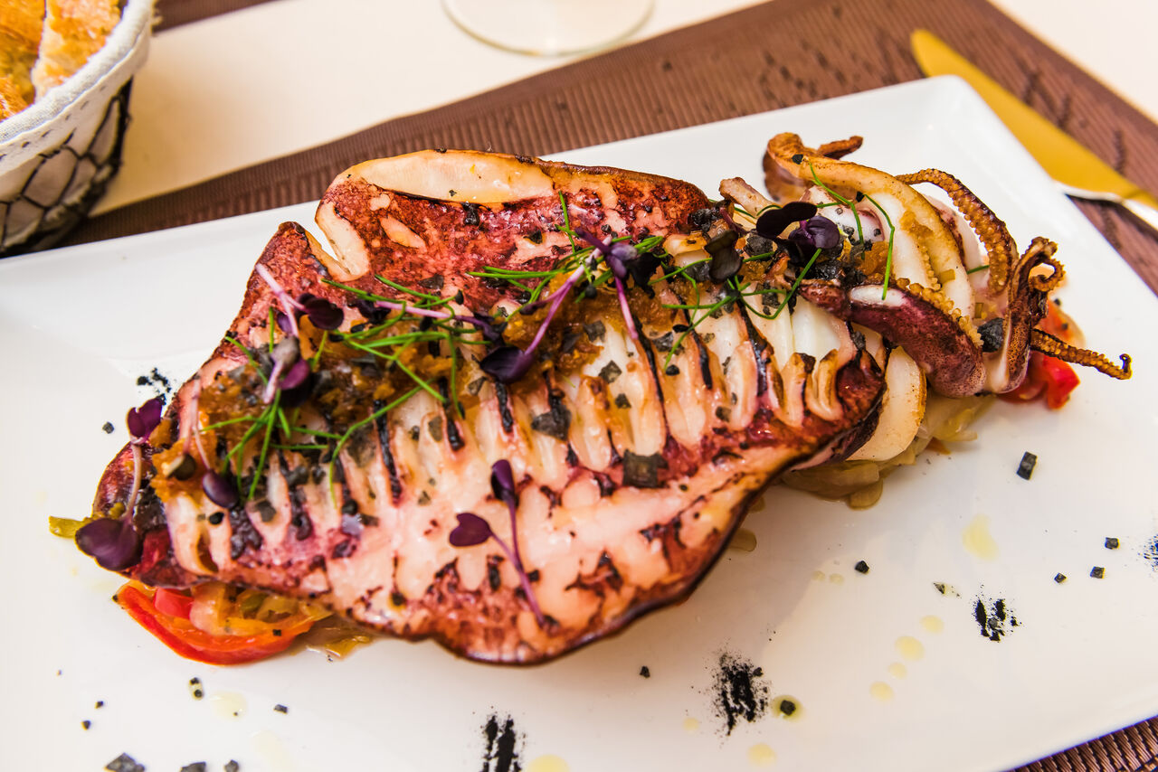 EL TORPEDO MICHAEL PHELPS