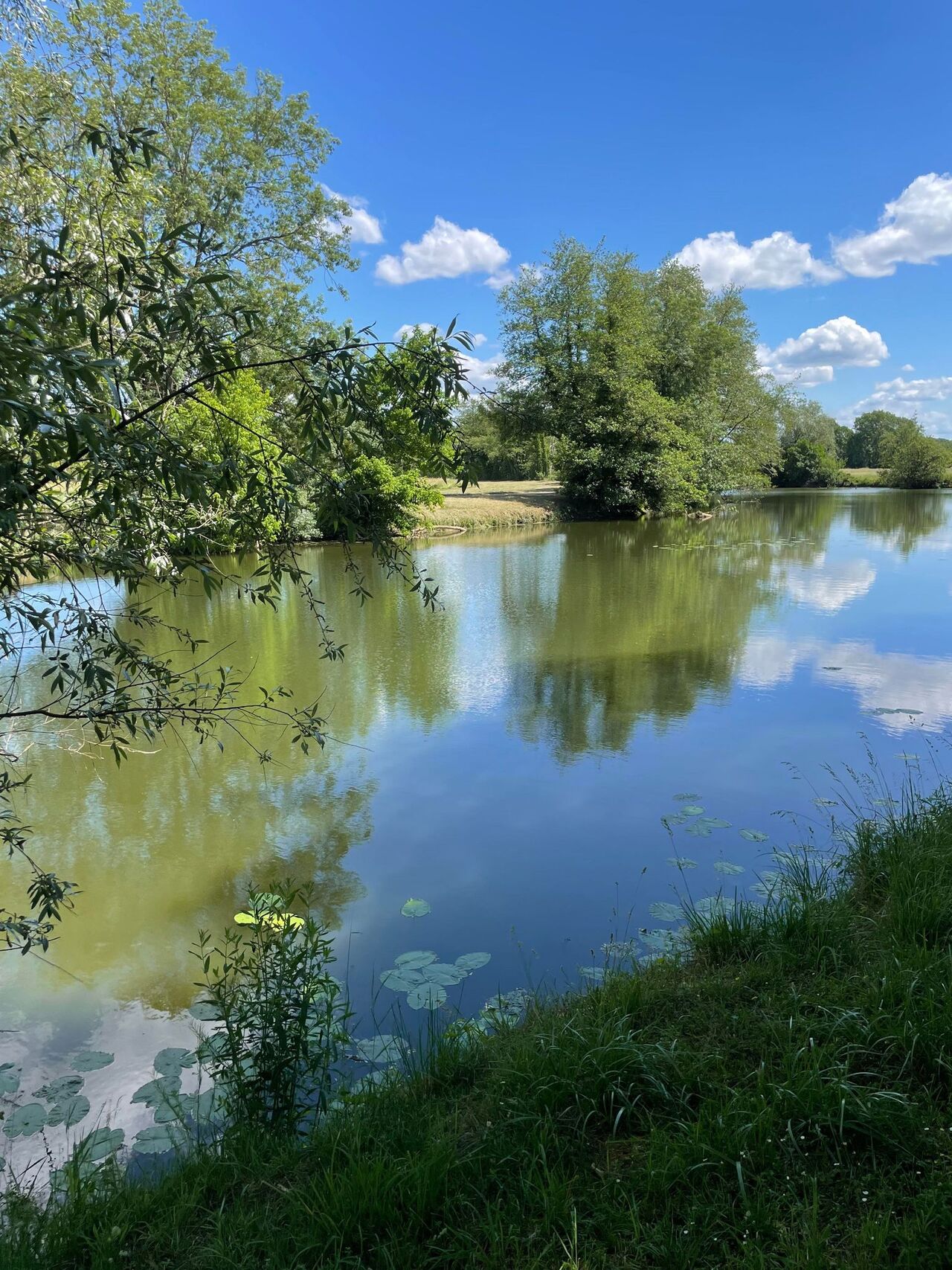 coté rivière
