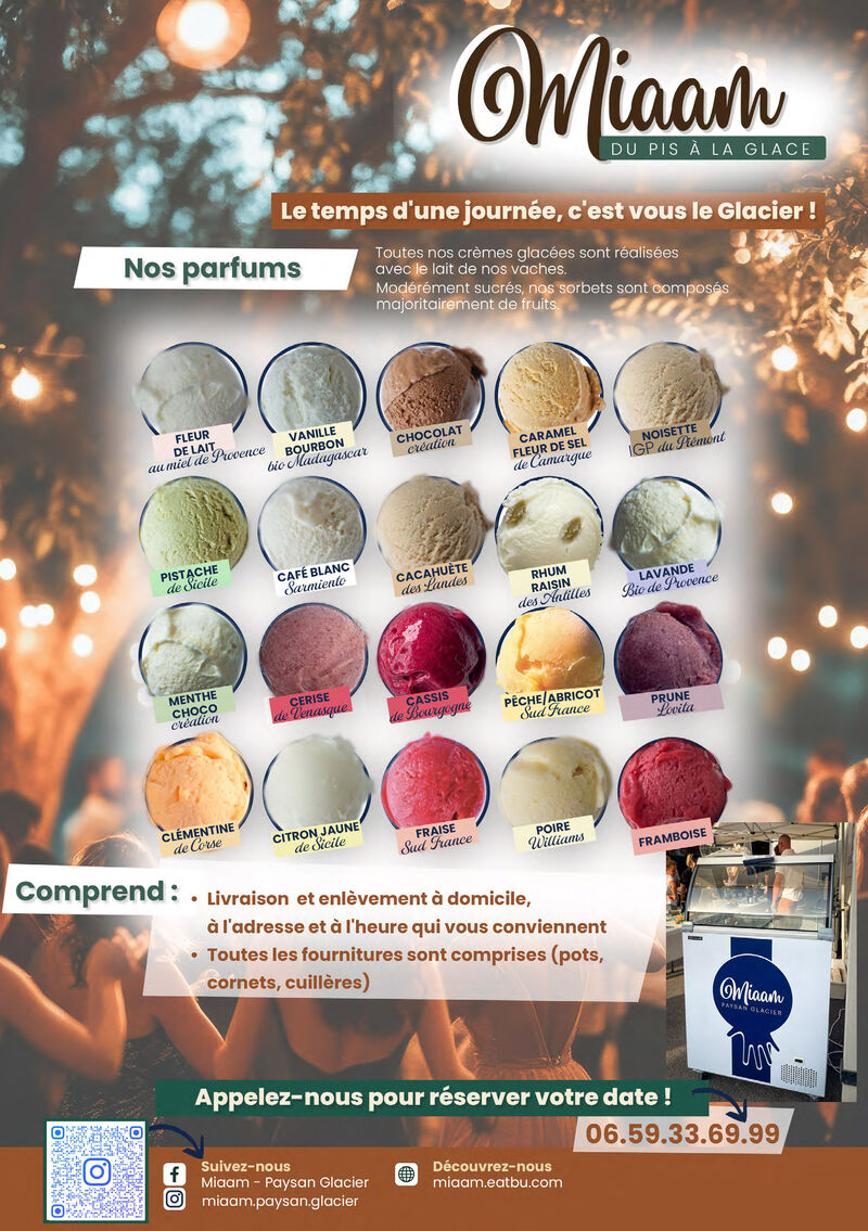 Bar à glaces location