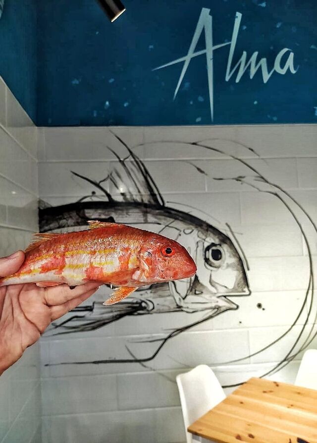 Detalles... Salmonetes All Around