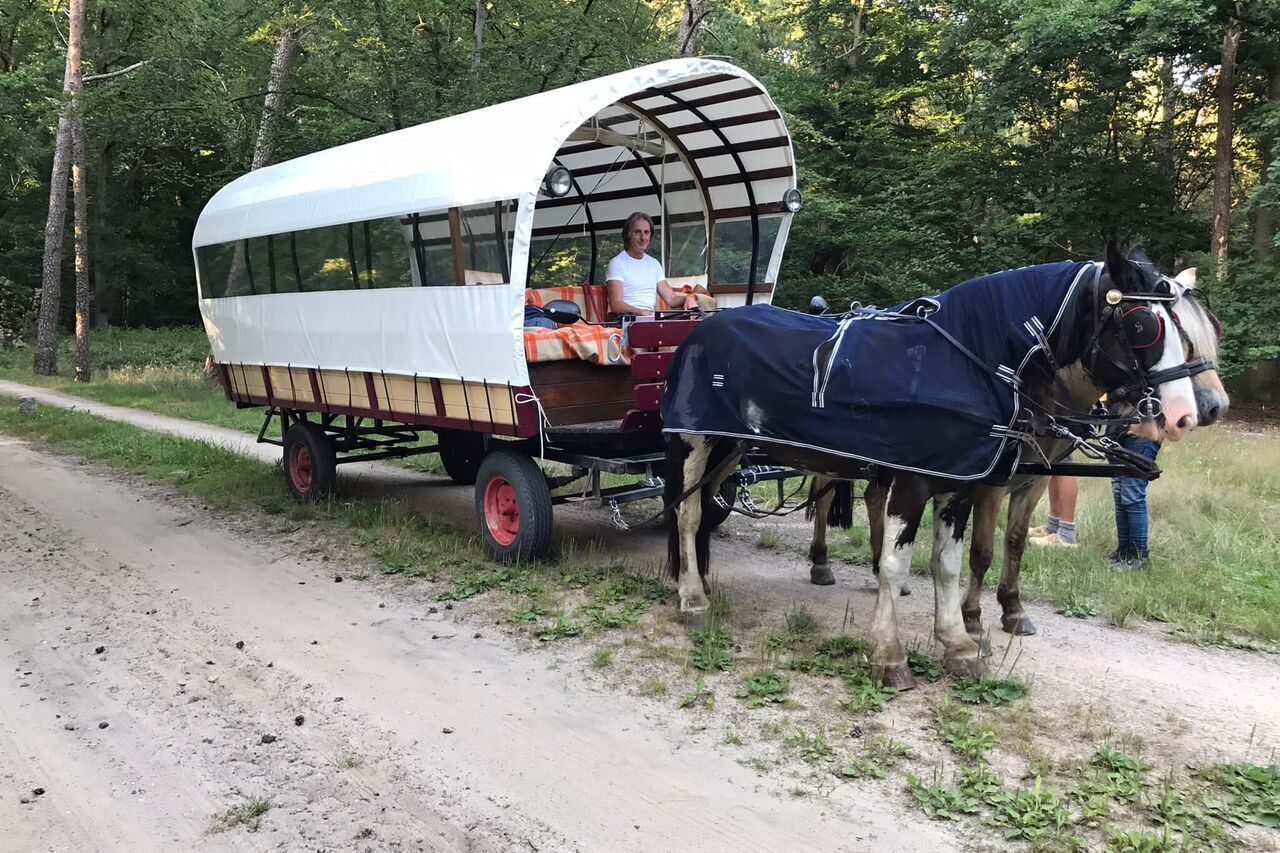 Huifkartochten voor jong en oud (maximaal 20 personen)